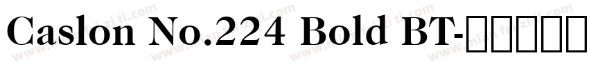 Caslon No.224 Bold BT字体转换